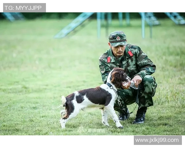 狗子化身足球明星的背后故事与精彩瞬间揭秘